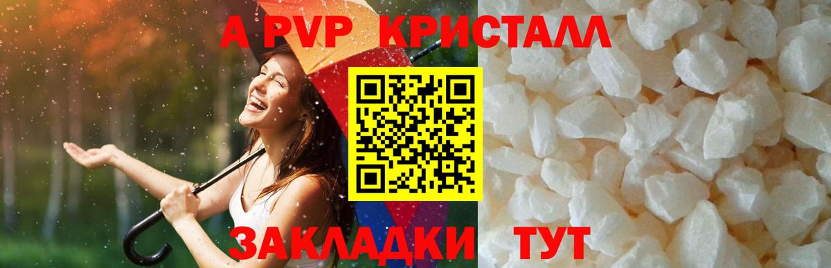 А ПВП СК КРИС  APVP  Хабаровск  Вход с VPN  Alpha-PVP СК КРИС 