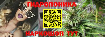 МДПВ Новозыбков