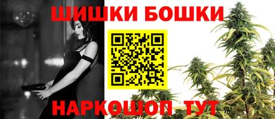 МДПВ Новозыбков
