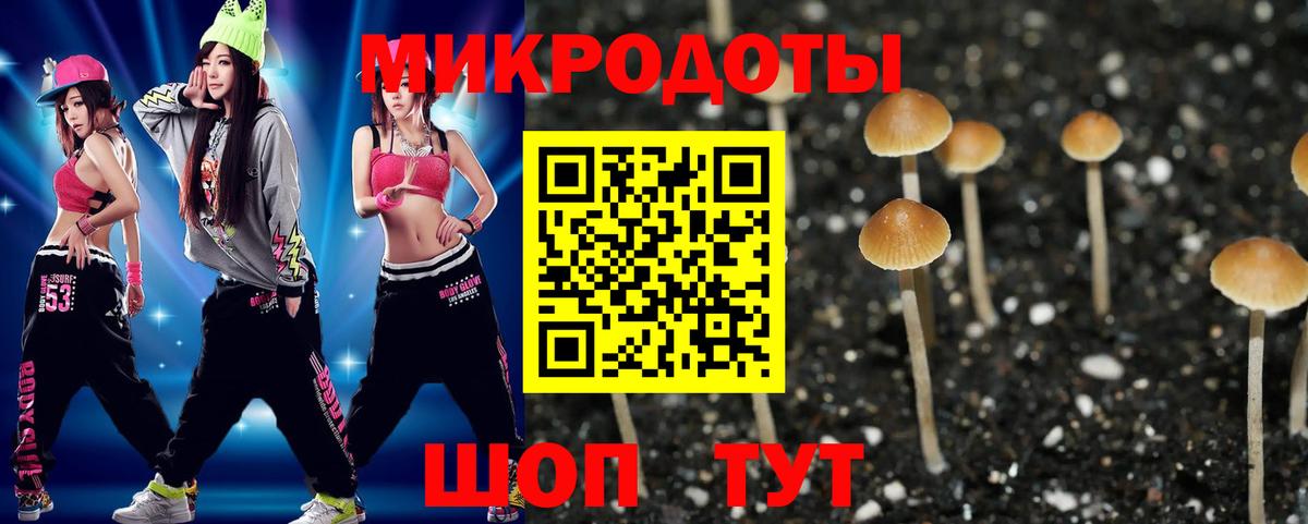 Хабаровск  Галлюциногенные грибы Magic Shrooms  Вход с VPN  Галлюциногенные грибы Cubensis 